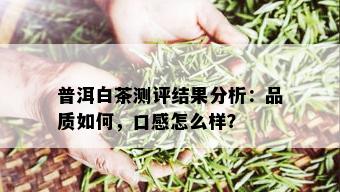 普洱白茶测评结果分析：品质如何，口感怎么样？