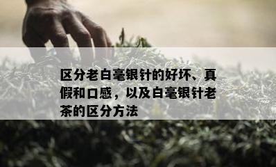 区分老白毫银针的好坏、真假和口感，以及白毫银针老茶的区分方法