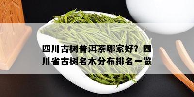 四川古树普洱茶哪家好？四川省古树名木分布排名一览