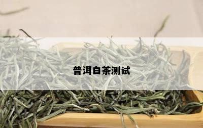 普洱白茶测试