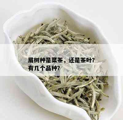 眉树种是菜茶，还是茶叶？有几个品种？