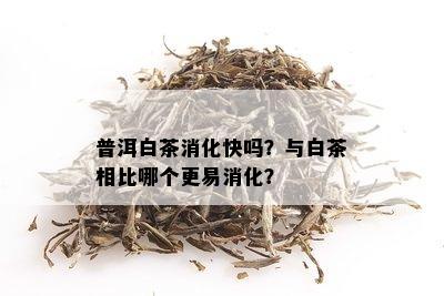 普洱白茶消化快吗？与白茶相比哪个更易消化？