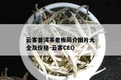 云客普洱茶老板简介图片大全及价格-云客CEO