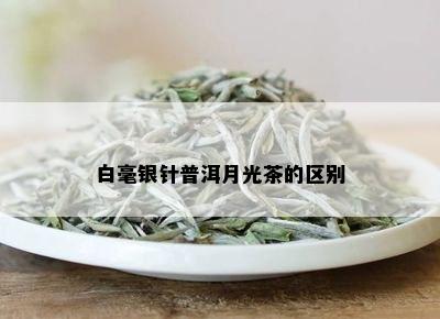 白毫银针普洱月光茶的区别