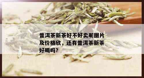 普洱茶新茶好不好卖呢图片及价格欣，还有普洱茶新茶好喝吗？