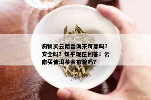 购物买云南普洱茶可靠吗？安全吗？知乎现在回答！云南买普洱茶会被骗吗？