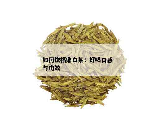 如何饮福鼎白茶：好喝口感与功效