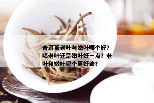 普洱茶老叶与嫩叶哪个好？喝老叶还是嫩叶好一点？老叶和嫩叶哪个更好些？