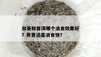 白茶和普洱哪个消食效果好？养胃还是消食快？