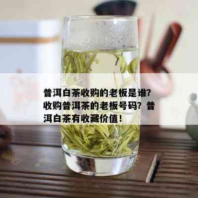 普洱白茶收购的老板是谁？收购普洱茶的老板号码？普洱白茶有收藏价值！