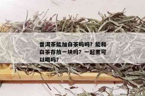 普洱茶能加白茶吗吗？能和白茶存放一块吗？一起煮可以喝吗？