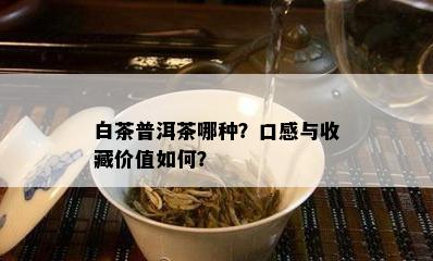 白茶普洱茶哪种？口感与收藏价值如何？