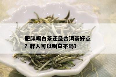 肥胖喝白茶还是普洱茶好点？胖人可以喝白茶吗？