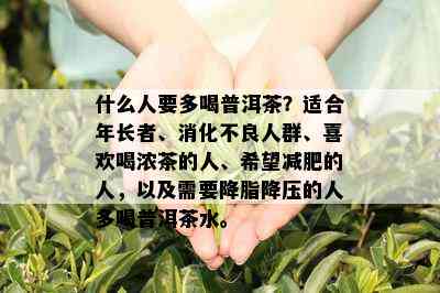 什么人要多喝普洱茶？适合年长者、消化不良人群、喜欢喝浓茶的人、希望减肥的人，以及需要降脂降压的人多喝普洱茶水。