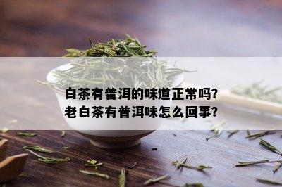 白茶有普洱的味道正常吗？老白茶有普洱味怎么回事？