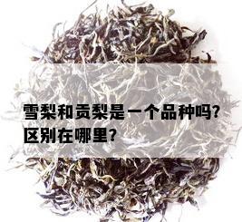 雪梨和贡梨是一个品种吗？区别在哪里？