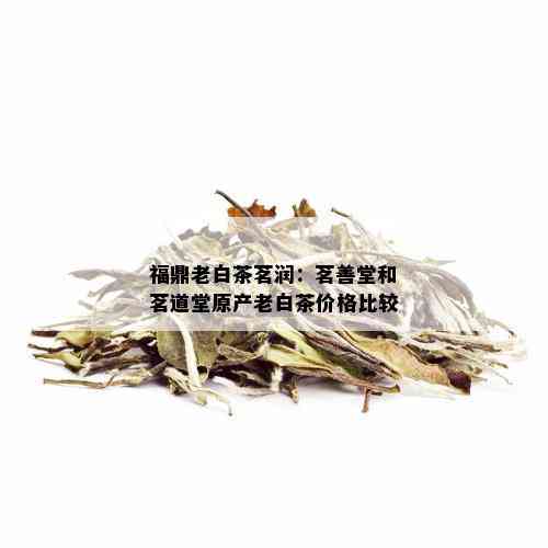 福鼎老白茶茗润：茗善堂和茗道堂原产老白茶价格比较