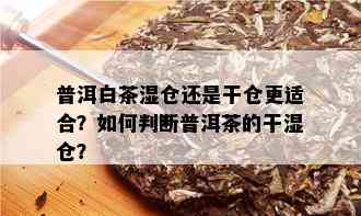 普洱白茶湿仓还是干仓更适合？如何判断普洱茶的干湿仓？