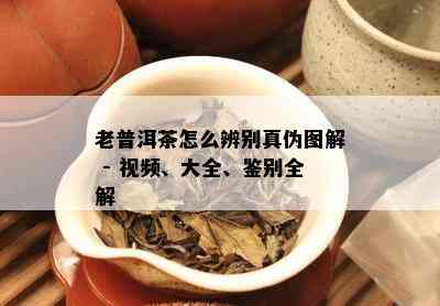 老普洱茶怎么辨别真伪图解 - 视频、大全、鉴别全解