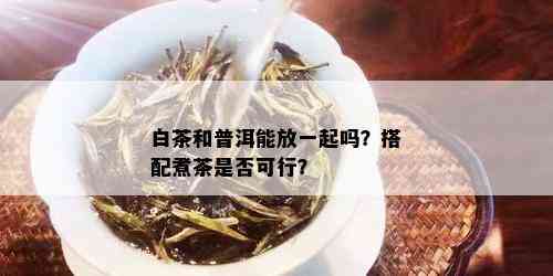 白茶和普洱能放一起吗？搭配煮茶是否可行？