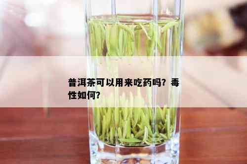 普洱茶可以用来吃吗？性如何？