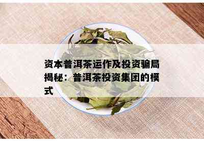 资本普洱茶运作及投资骗局揭秘：普洱茶投资集团的模式