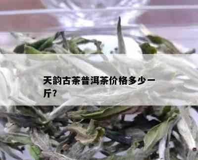 天韵古茶普洱茶价格多少一斤？