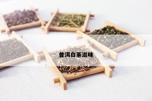 普洱白茶滋味