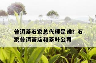 普洱茶石家总代理是谁？石家普洱茶店和茶叶公司