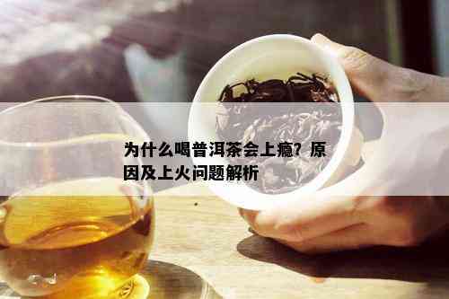 为什么喝普洱茶会上瘾？原因及上火问题解析