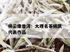 杨云康普洱：大理名茶杨凯代表作品