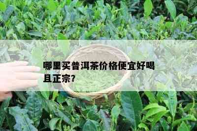 哪里买普洱茶价格便宜好喝且正宗？