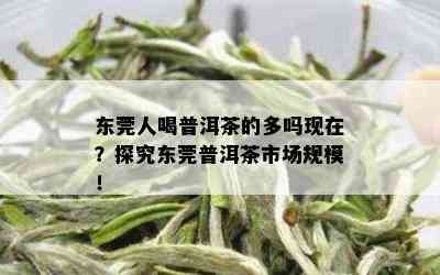 东莞人喝普洱茶的多吗现在？探究东莞普洱茶市场规模！