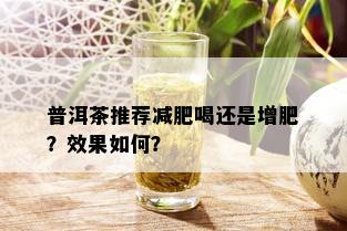 普洱茶推荐减肥喝还是增肥？效果如何？