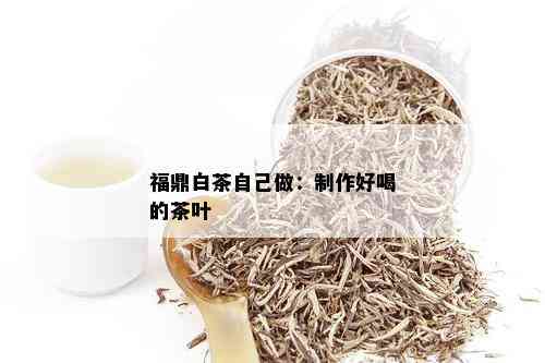 福鼎白茶自己做：制作好喝的茶叶