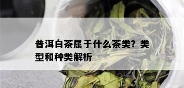 普洱白茶属于什么茶类？类型和种类解析