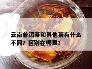 云南普洱茶和其他茶有什么不同？区别在哪里？