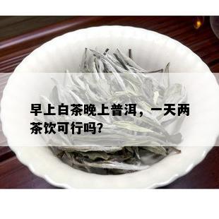 早上白茶晚上普洱，一天两茶饮可行吗？