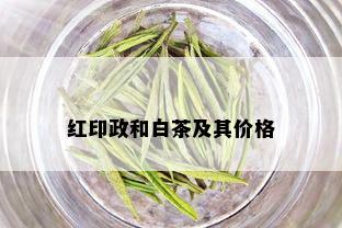 红印政和白茶及其价格