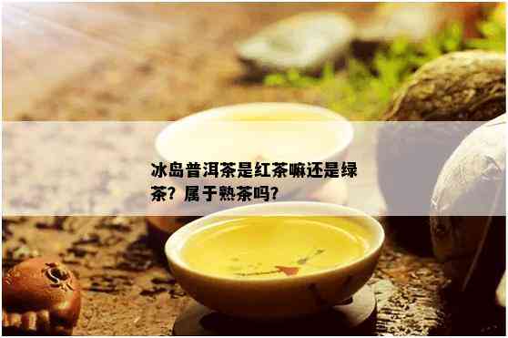 冰岛普洱茶是红茶嘛还是绿茶？属于熟茶吗？