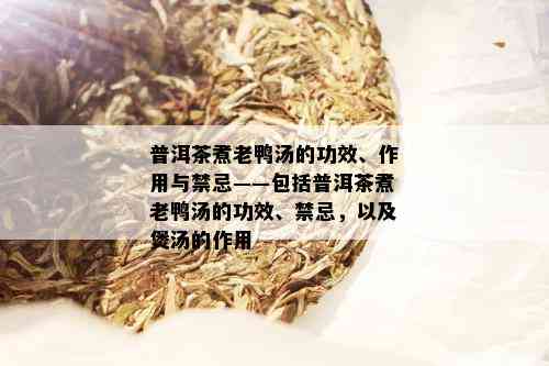 普洱茶煮老鸭汤的功效、作用与禁忌——包括普洱茶煮老鸭汤的功效、禁忌，以及煲汤的作用