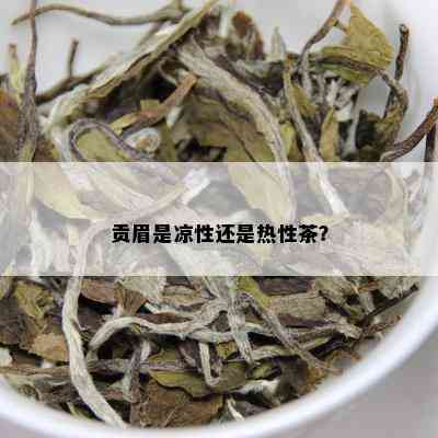 贡眉是凉性还是热性茶？