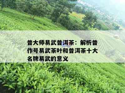 普大师易武普洱茶：解析普作号易武茶叶和普洱茶十大名牌易武的意义