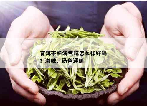 普洱茶熟汤气味怎么样好喝？滋味、汤色评测