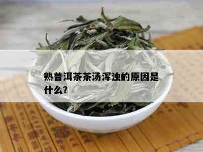 熟普洱茶茶汤浑浊的原因是什么？