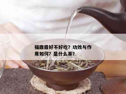 福鼎眉好不好吃？功效与作用如何？是什么茶？