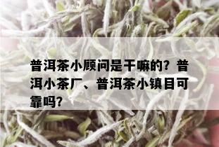 普洱茶小顾问是干嘛的？普洱小茶厂、普洱茶小镇目可靠吗？