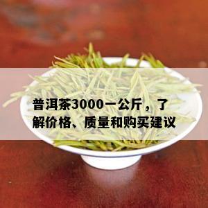 普洱茶3000一公斤，了解价格、质量和购买建议