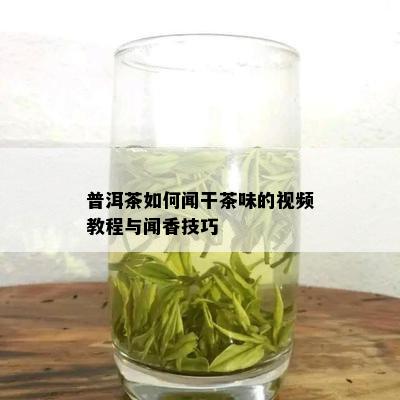 普洱茶如何闻干茶味的视频教程与闻香技巧