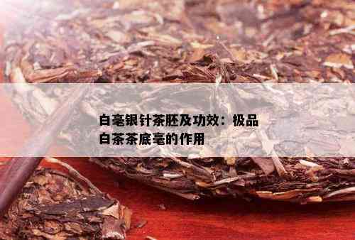 白毫银针茶胚及功效：极品白茶茶底毫的作用